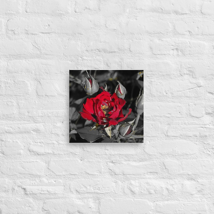 Rose on Canvas product image (12)