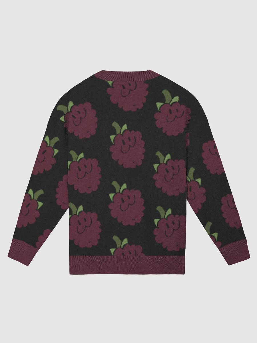 RalphBerry Knit Sweater product image (2)