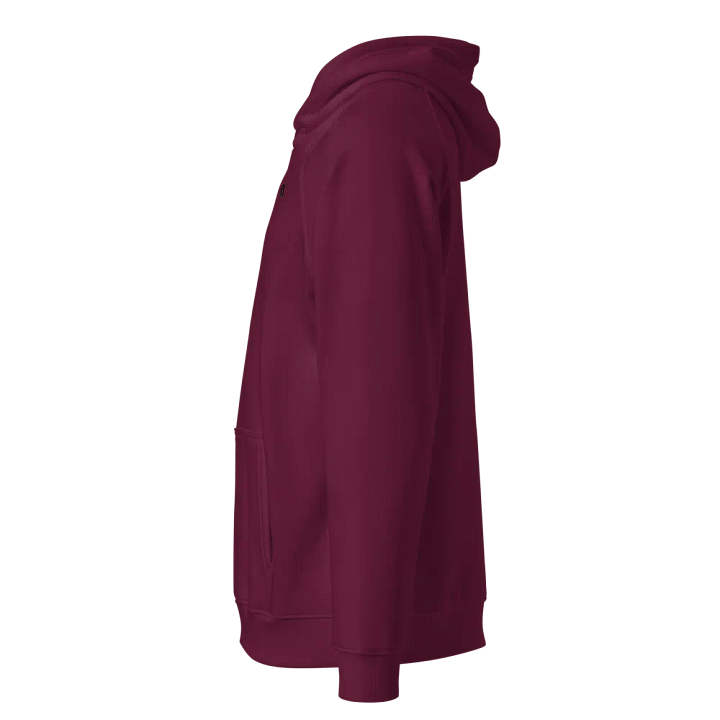 CS Hoodie product image (2)