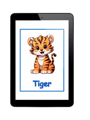 Digital Flashcards Bundle product image (4)