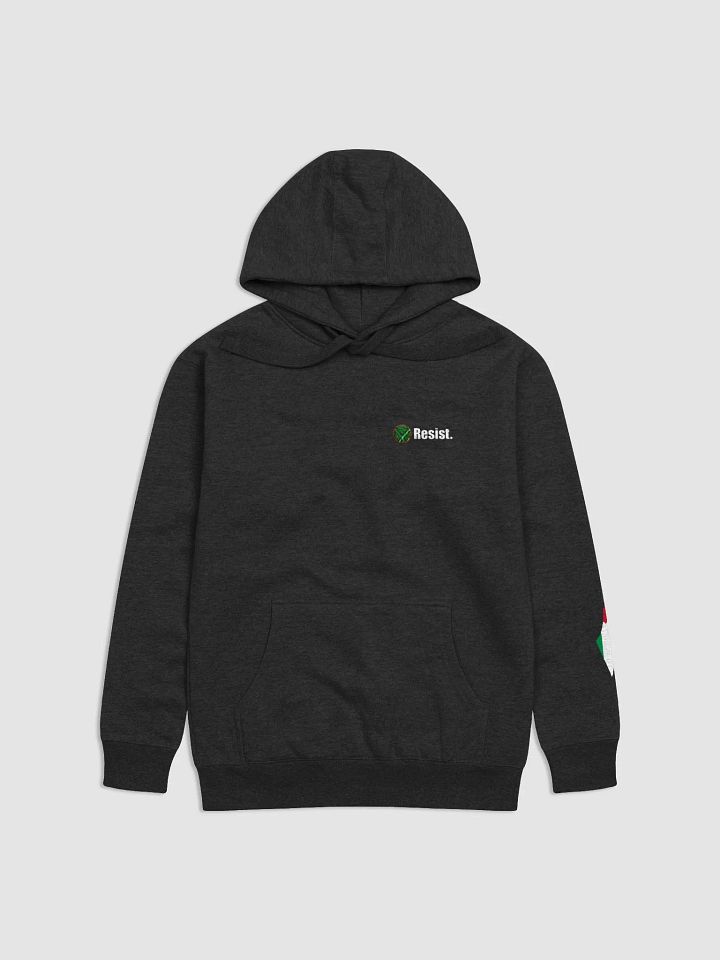 Resist Hoodie - Black product image (1)