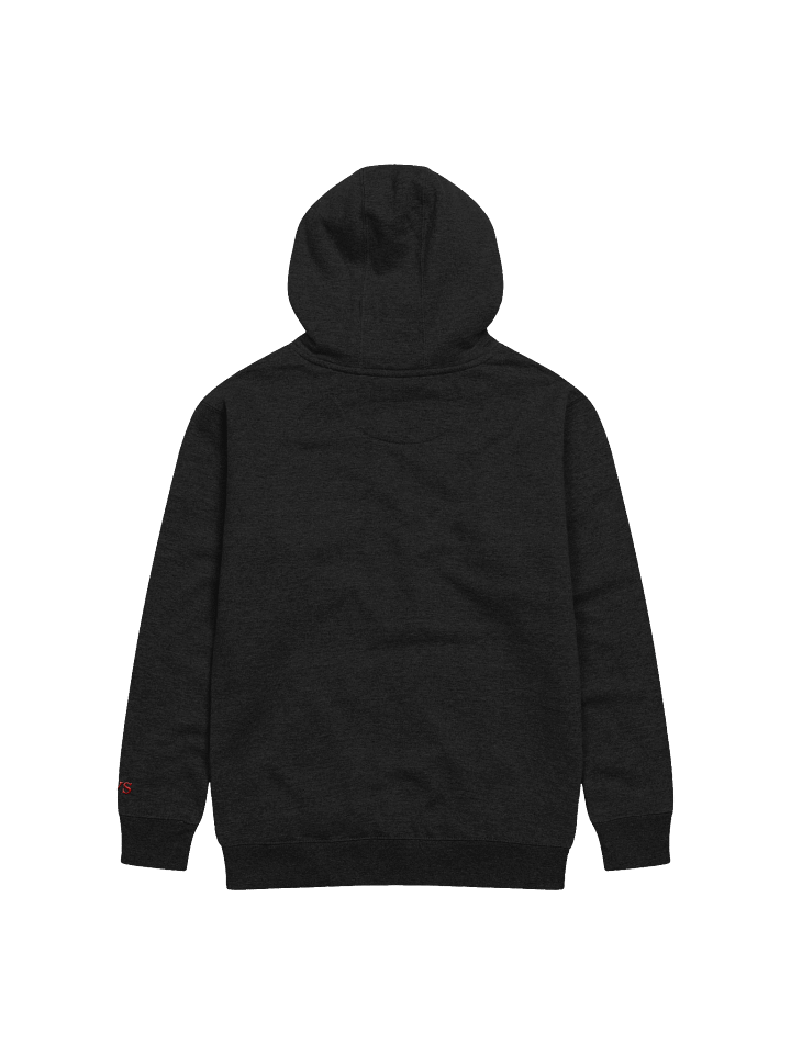 Custom Embroidered VVS HOODIE product image (2)