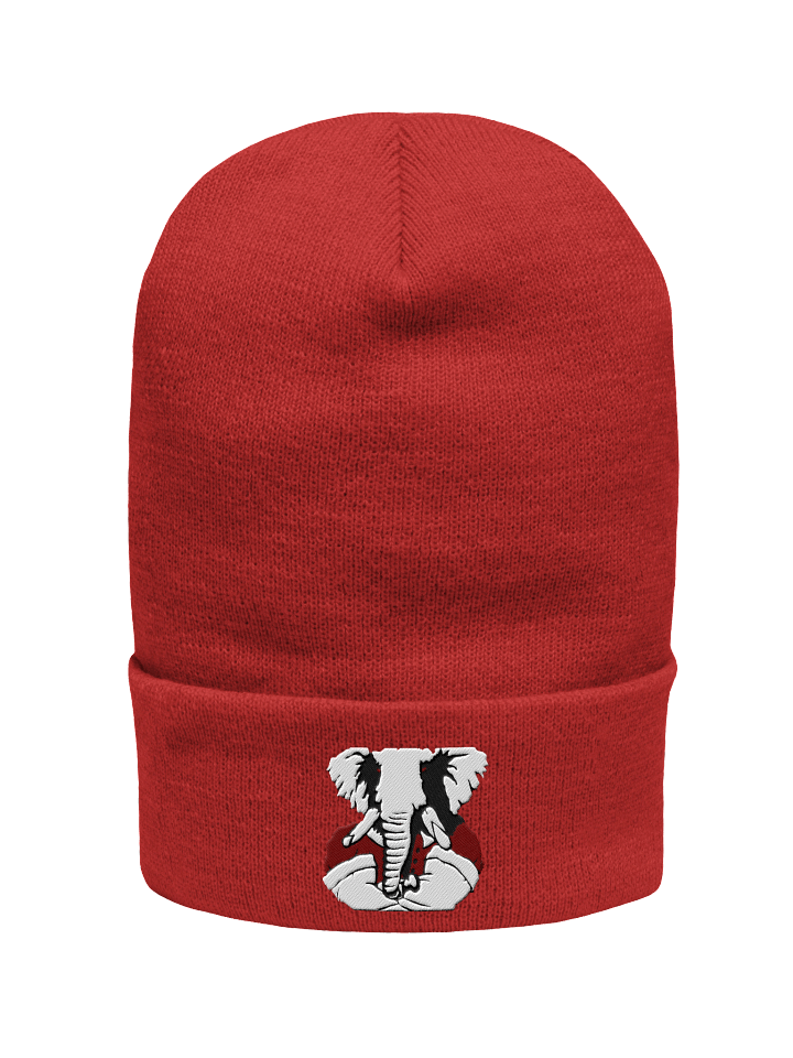 Conservative Resurgence Beanie product image (1)