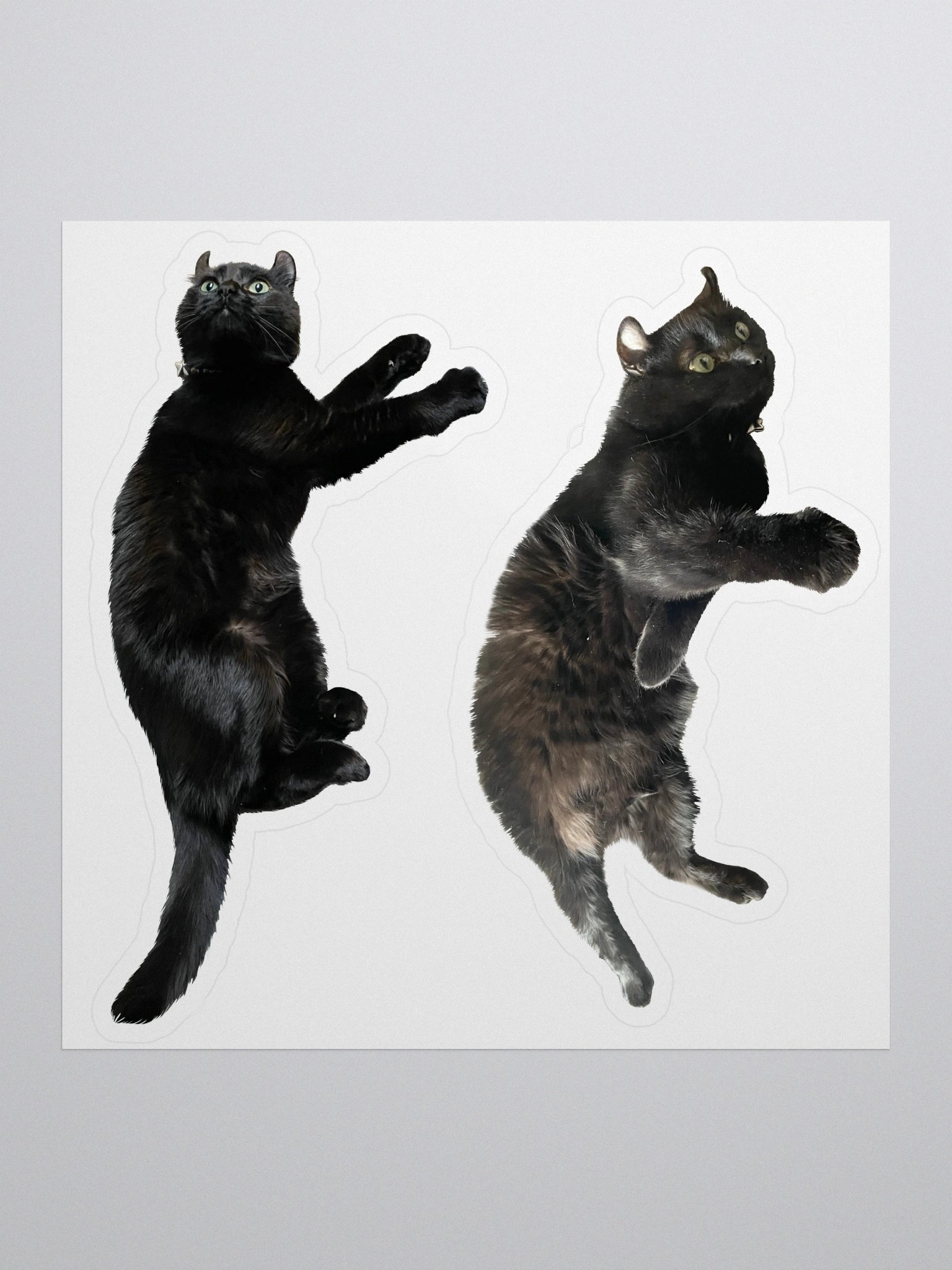 Double Dees product image (1)