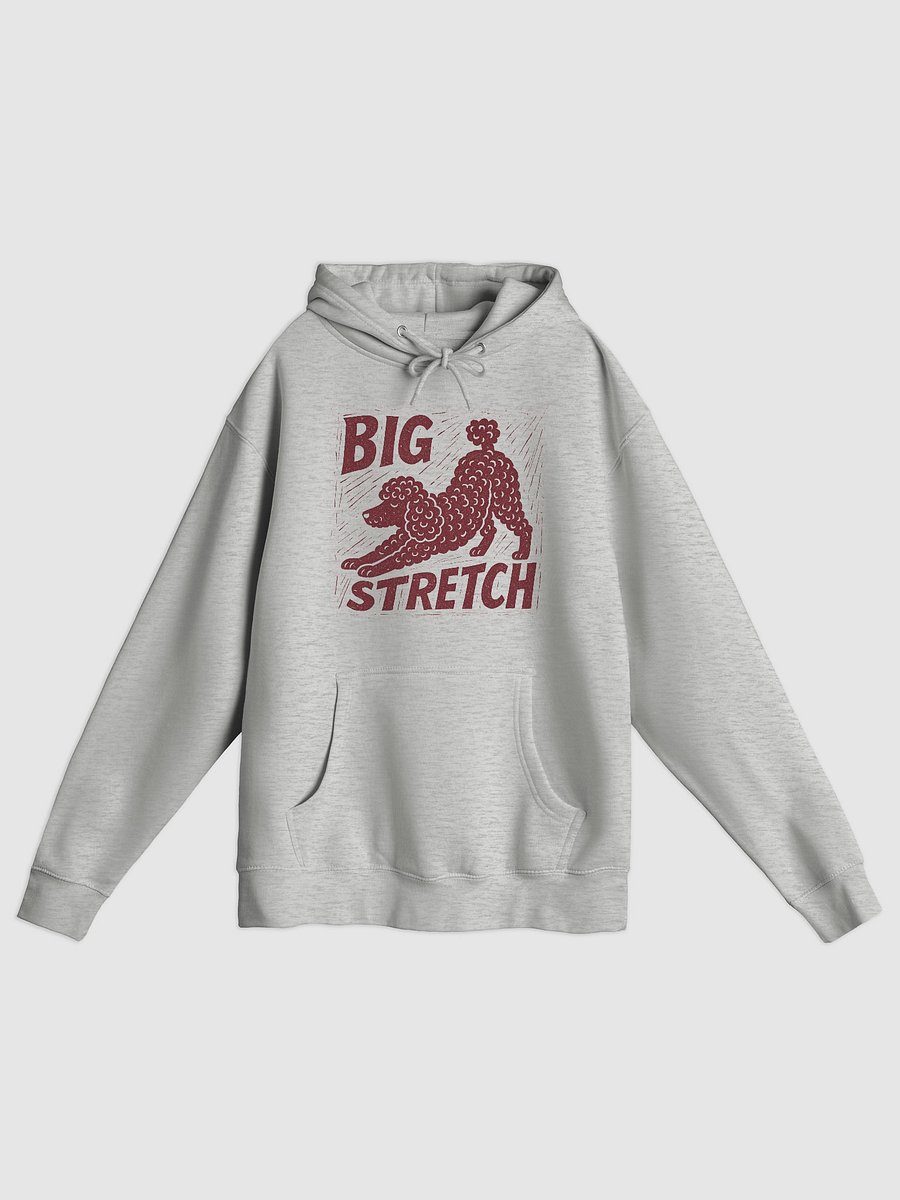Big Stretch Hoodie product image (1)