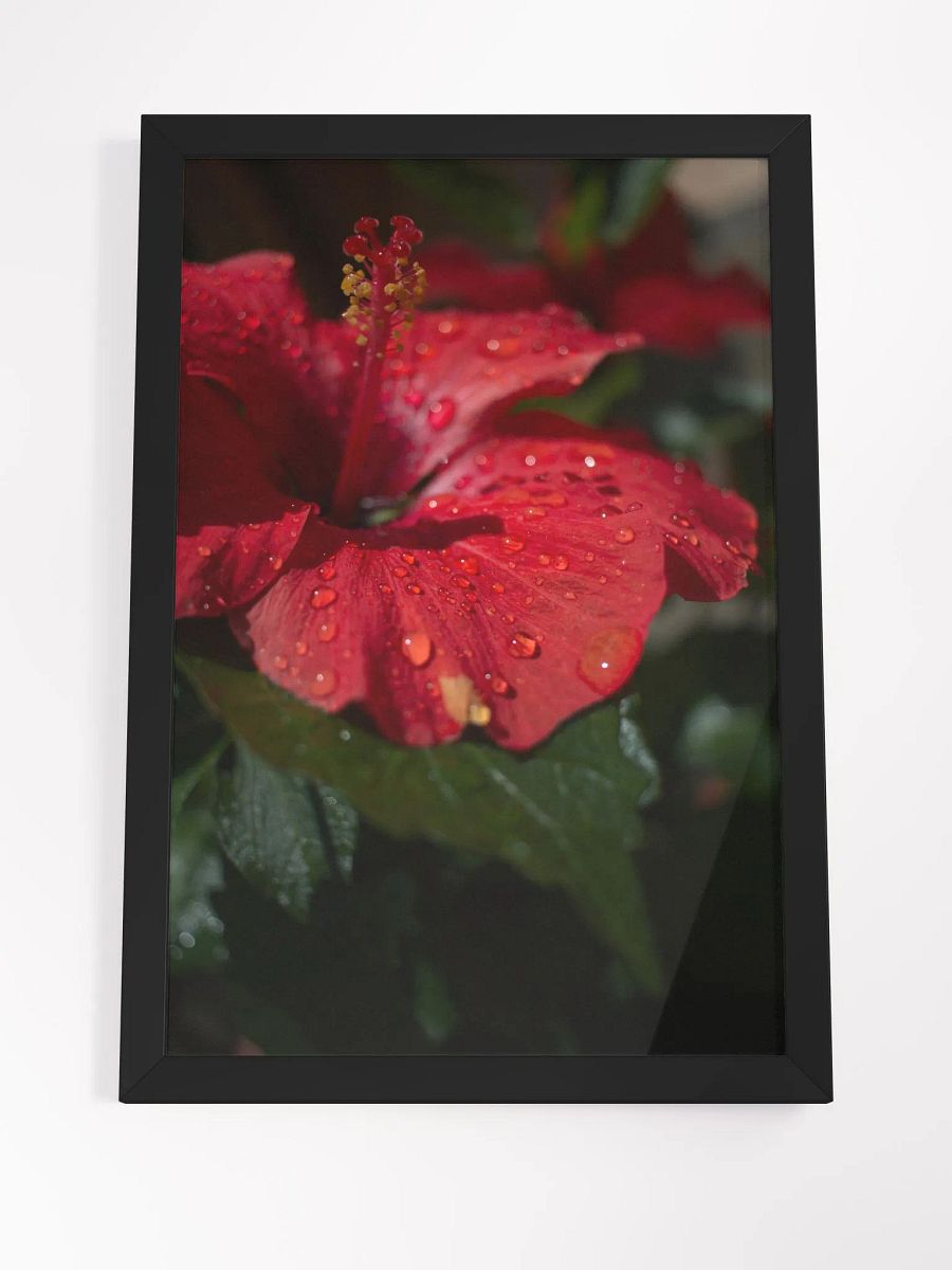 Love Joy Always Loves Bestseller Poster And Frame product image (19)