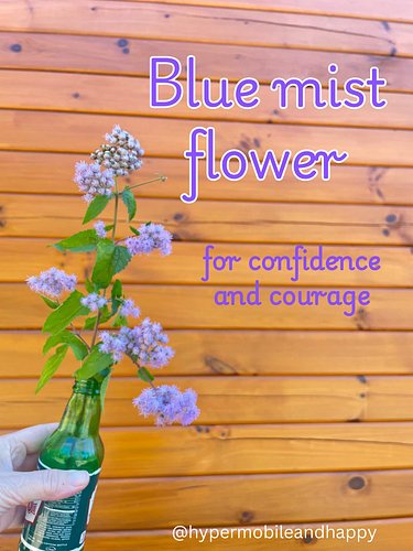 If you see this lovely flower blooming out there today, pick a little sprig and wear it in your button hole. You deserve to h...