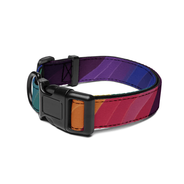 Rainbow Dog Collar product image (2)