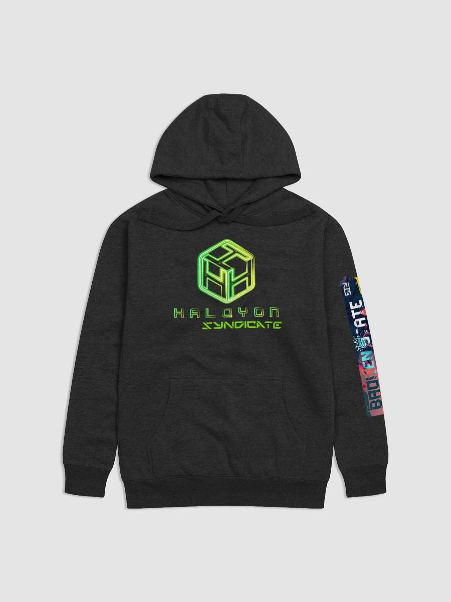 Halcyon Syndicate Hoodie - Dark product image (2)