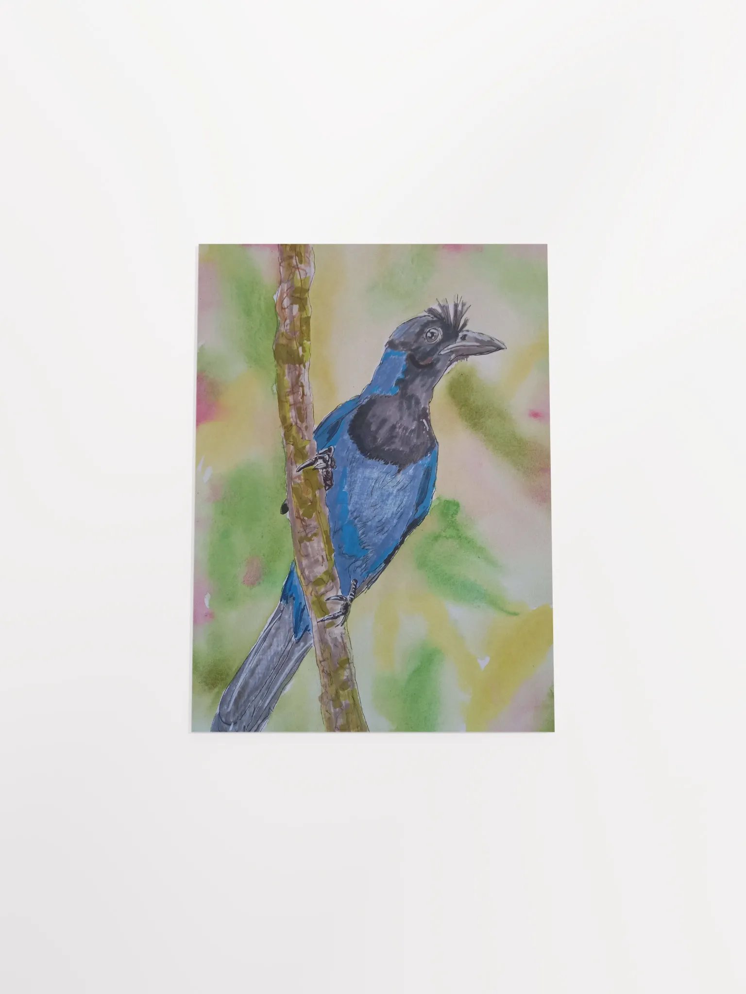 Corvid Series [07] Azure jay poster print product image (4)