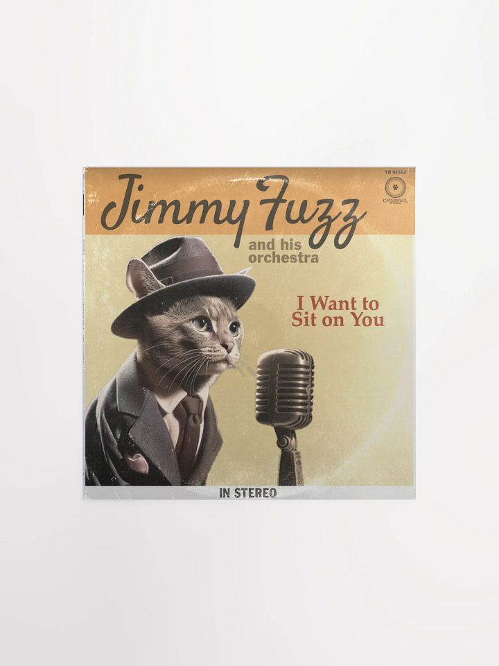 Jimmy Fuzz Poster - I Want To Sit On You album jacket (front) - 12