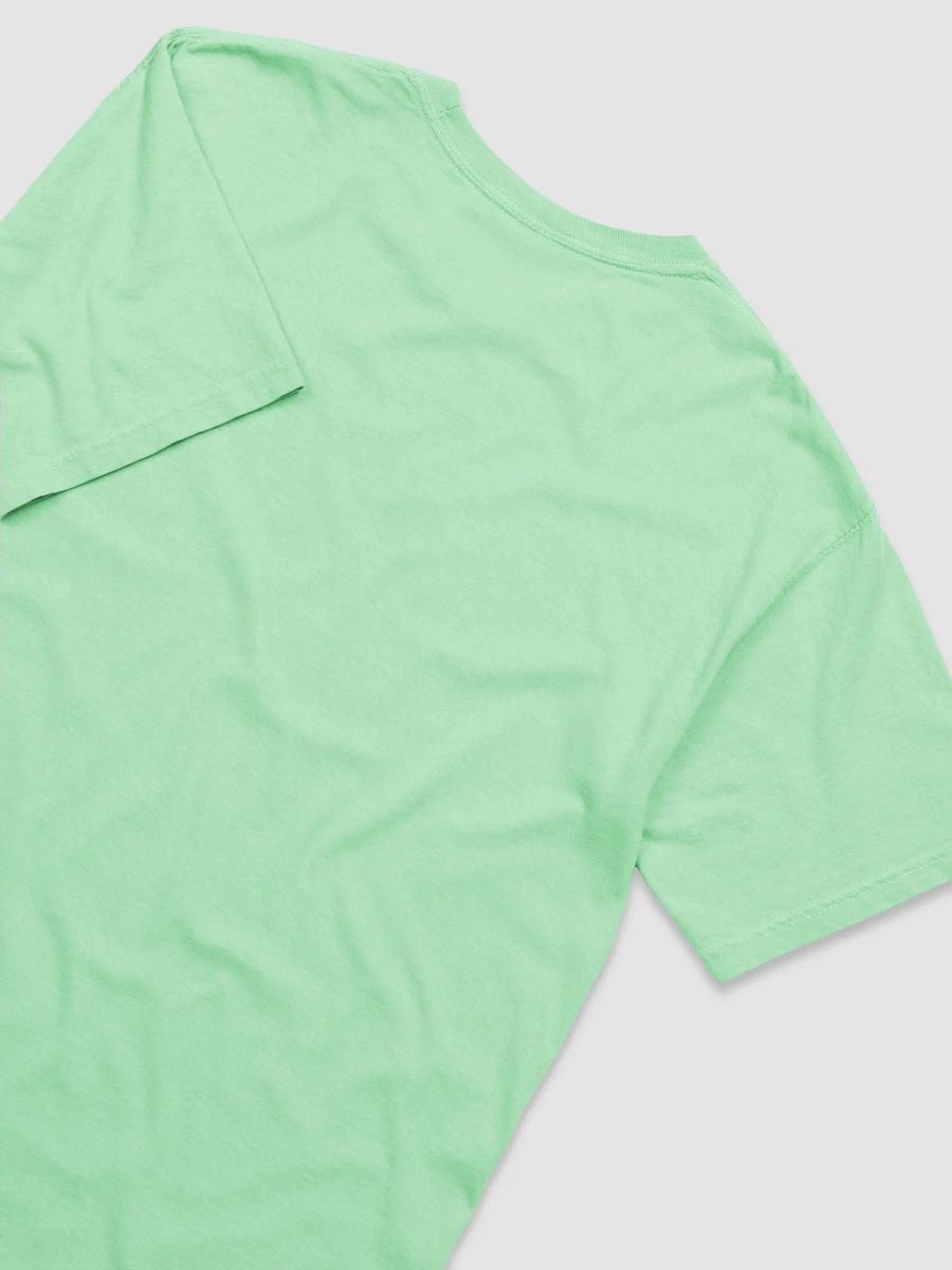 Permian Park Timeless Texas Garment-Dyed Tee product image (21)