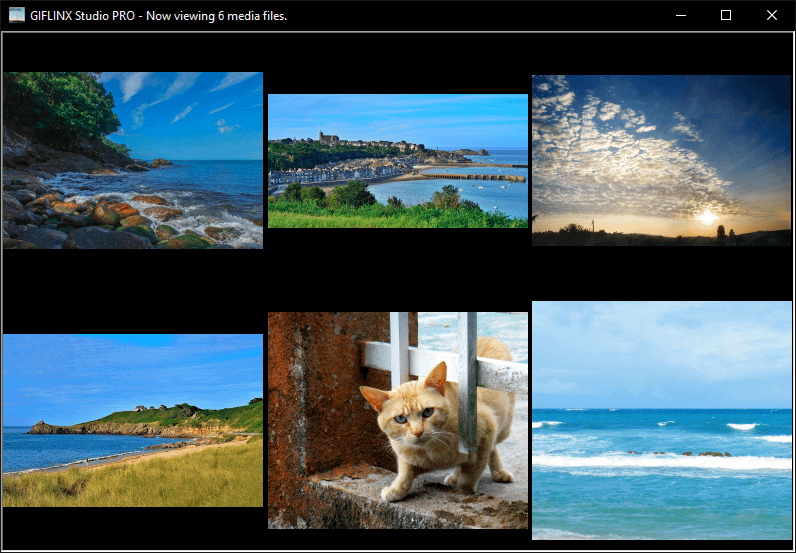GIFLINX Studio PRO · Lifetime License product image (1)
