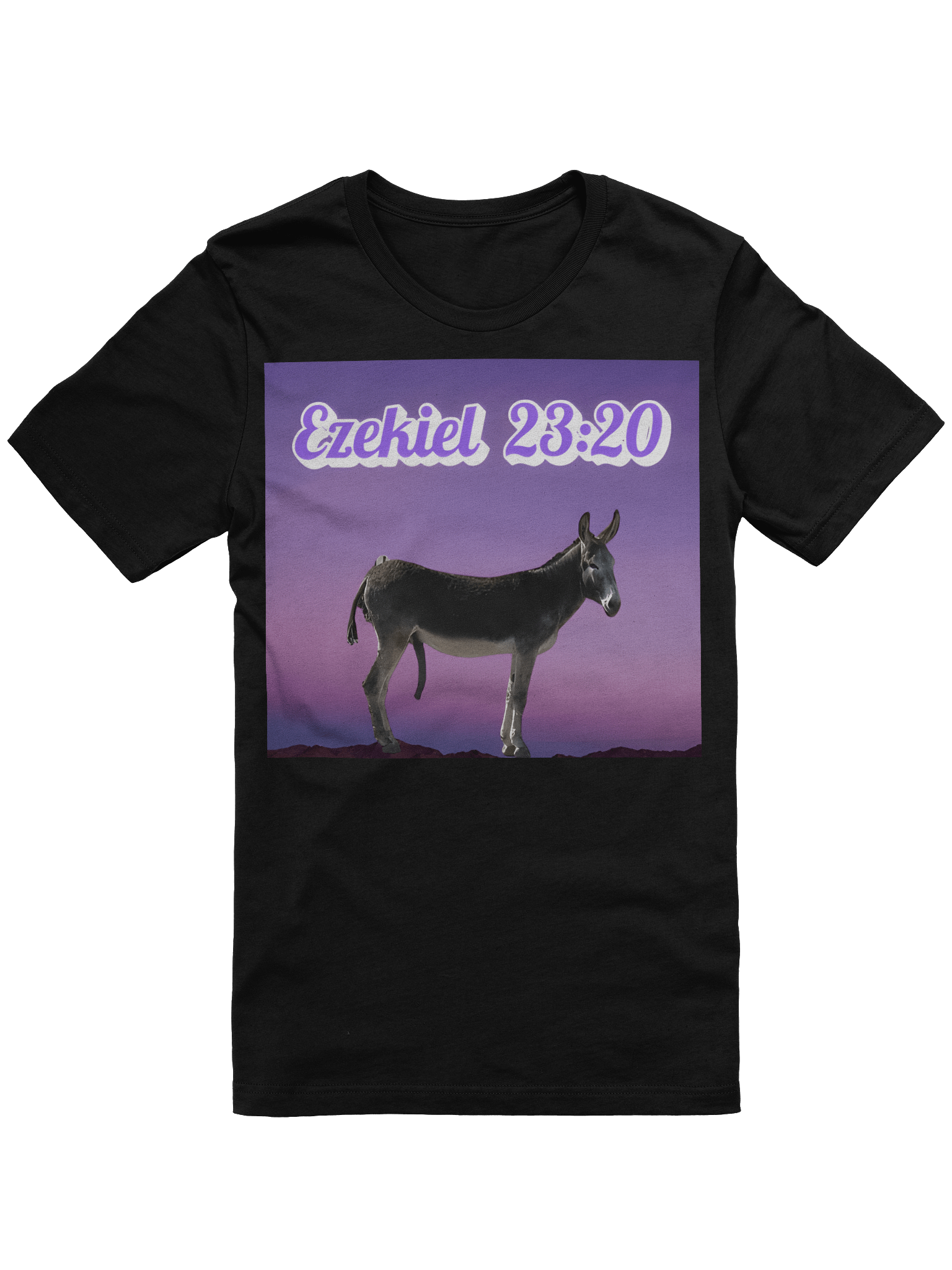 Ezekiel 23:20 Tee Shirt product image (1)