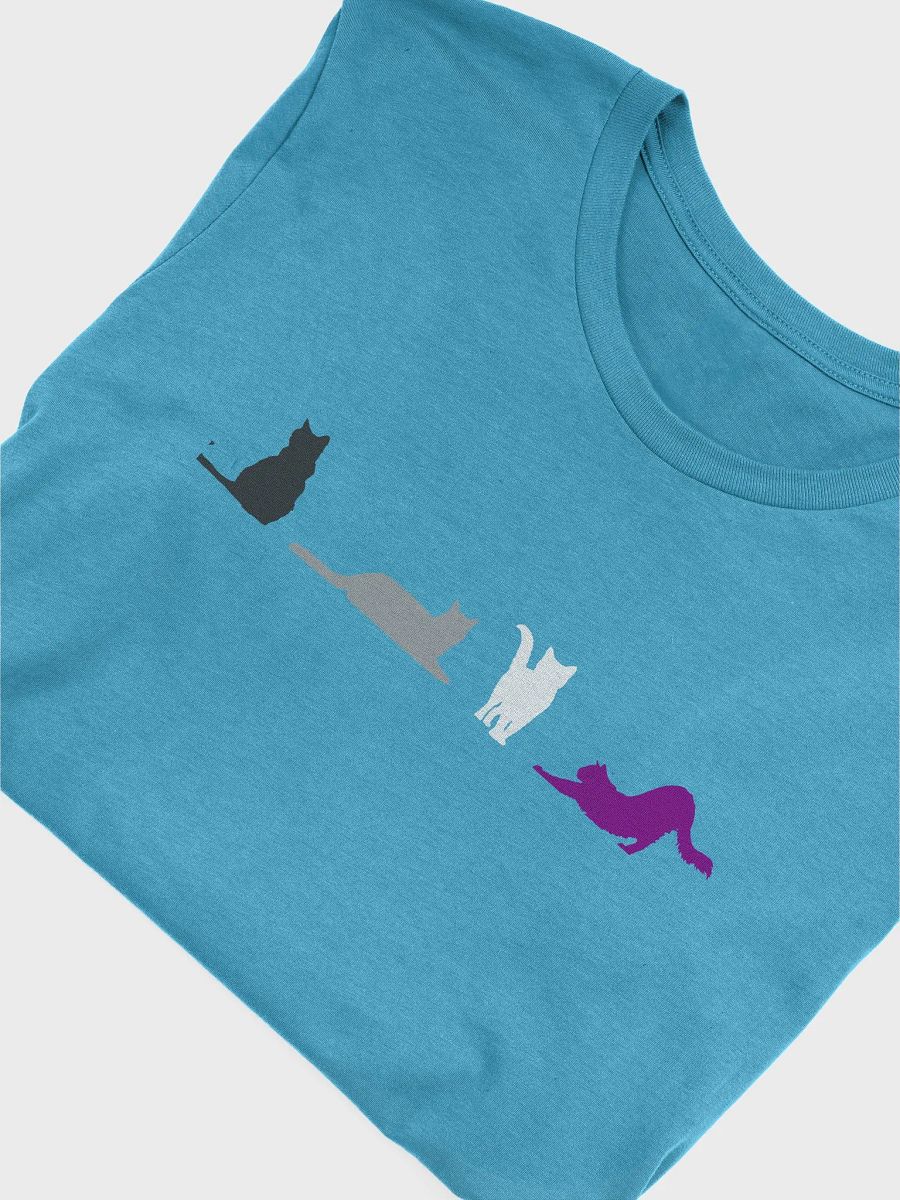 Asexual Pride Cats Women's Shirt product image (55)