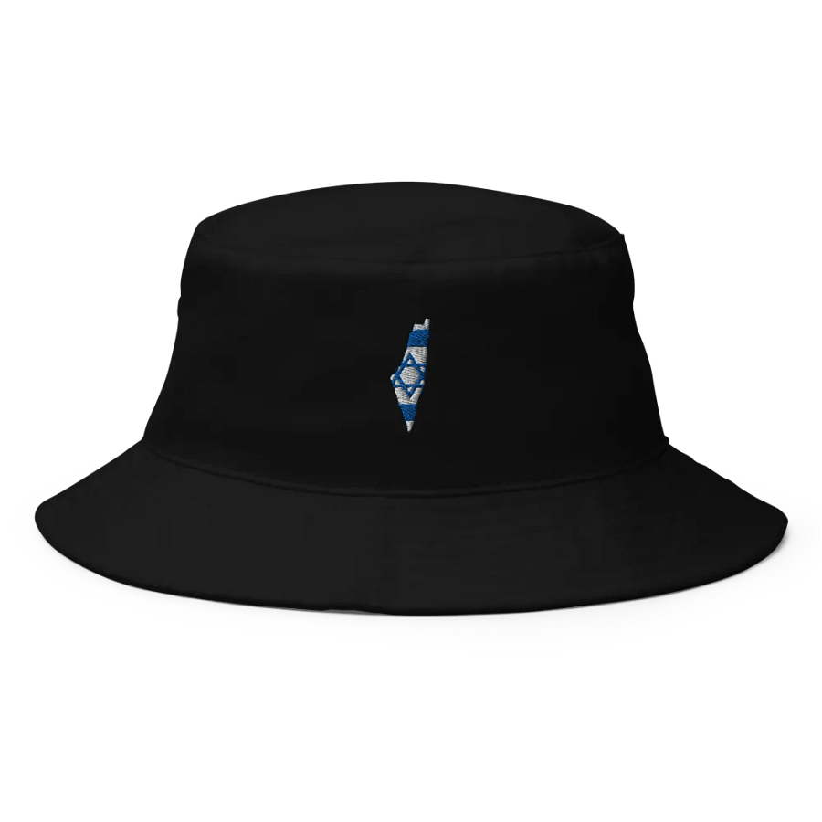 The Land Bucket Hat – Flag Edition product image (1)