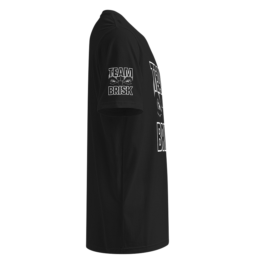 Team Brisk x Under Armour Athletic Tee product image (4)