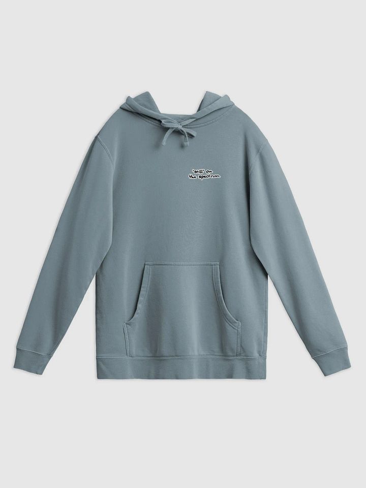 *still* on the spectrum (sm. bubble design) printed pigment hoodie product image (1)