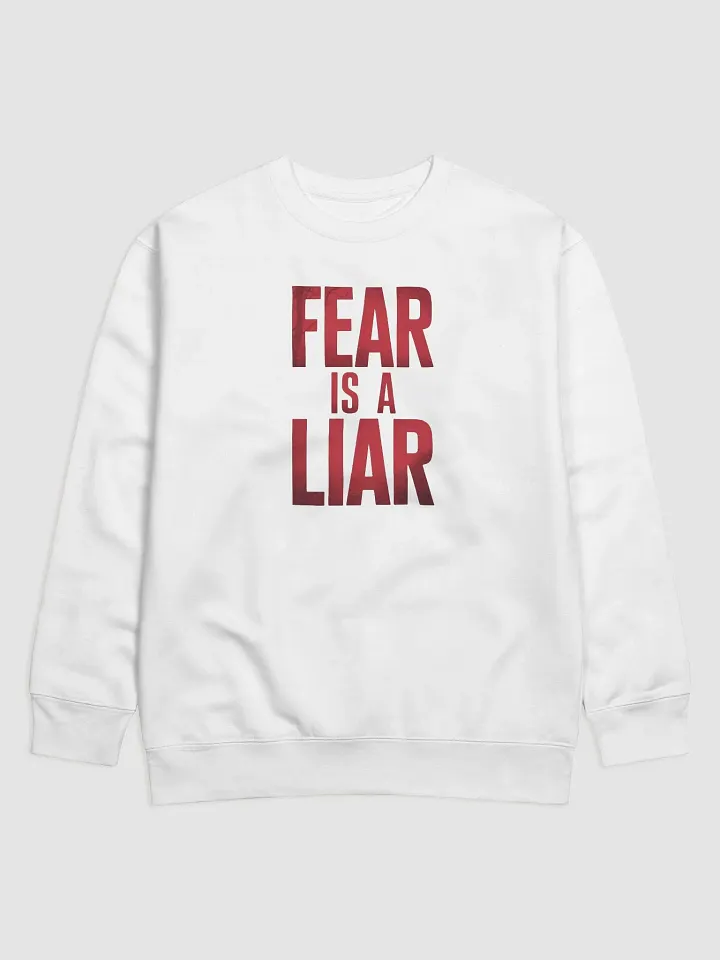 Fear is a liar Sweatshirt product image (25)