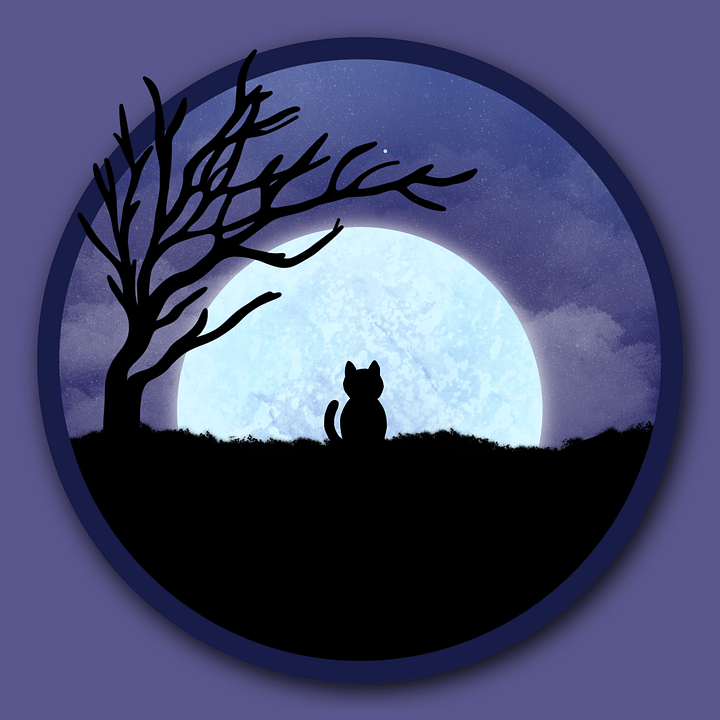 Comfy Nights Album product image (1)