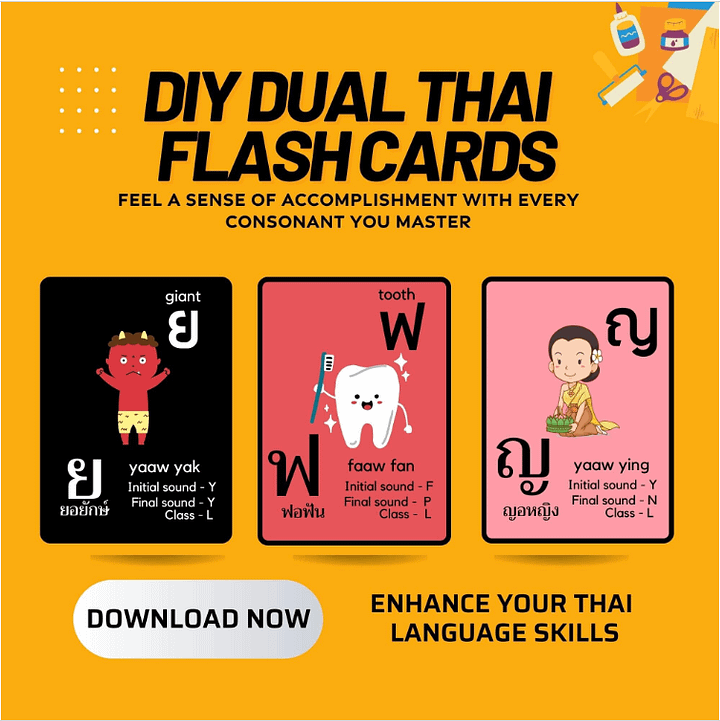 Dual Digital Thai Flashcards Consonants, Memorise Thai Script, Thailand Alphabets, Digital Download product image (1)