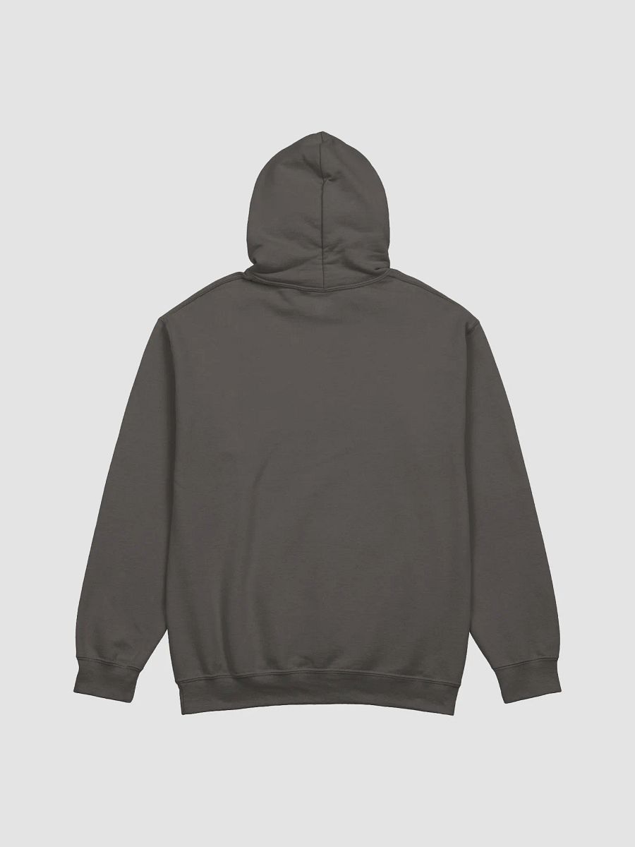 Storm Codex Hoodie product image (4)