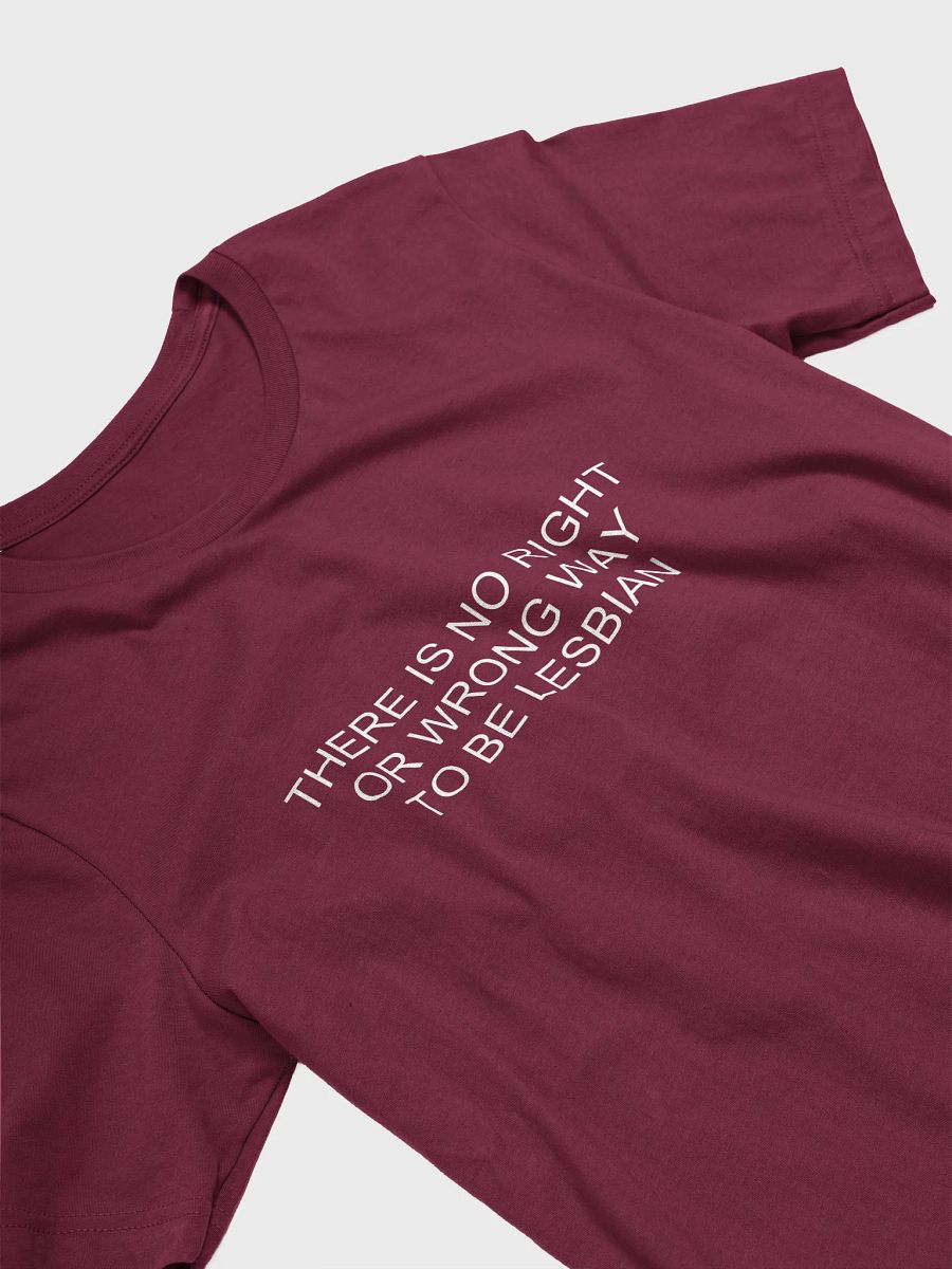 no wrong way to be lesbian t-shirt product image (3)