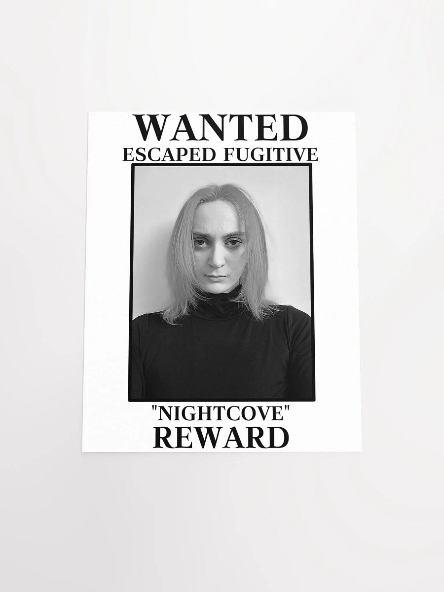 The Villain WANTED Poster product image (4)