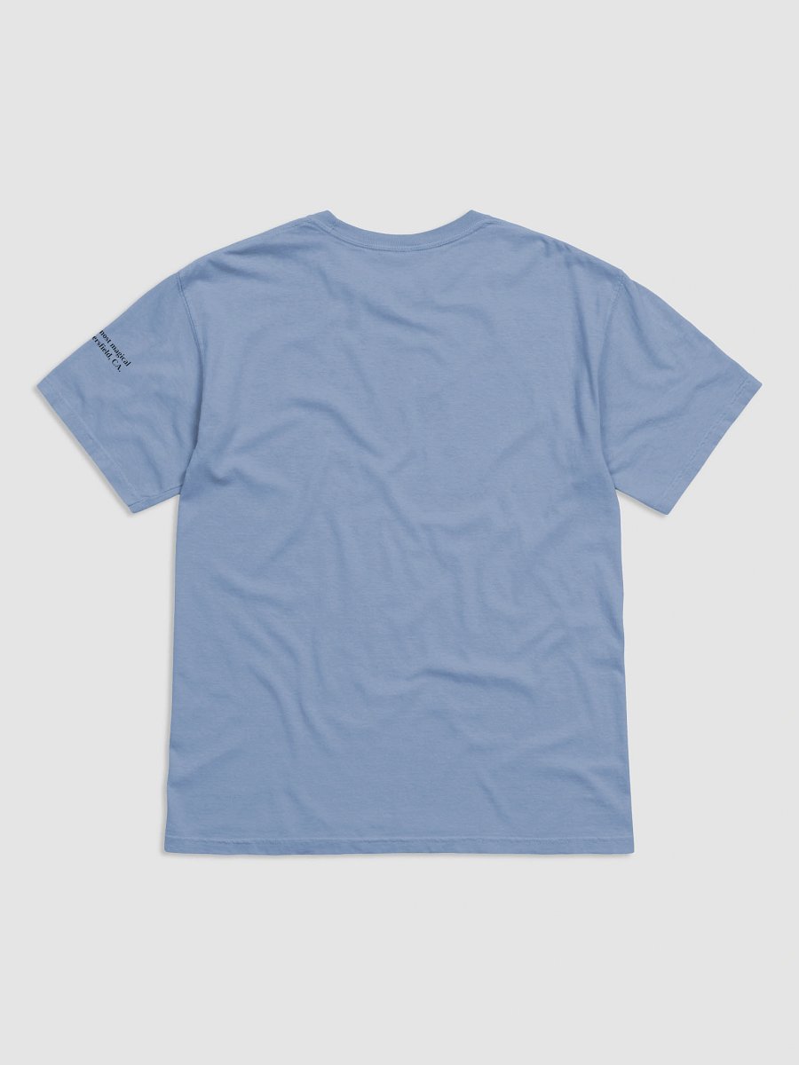 Dimdeylann Heavyweight Tee product image (17)