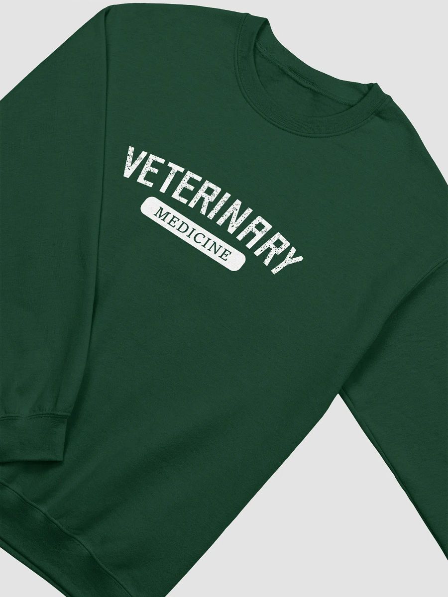 "Veterinary medicine-sport" sweatshirt product image (4)