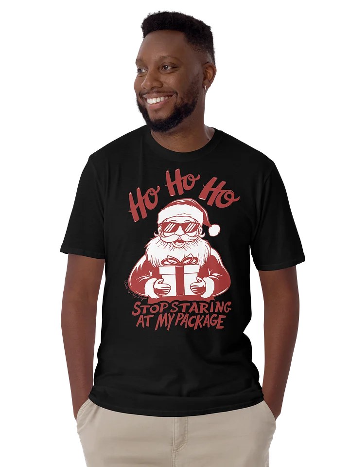 Holiday - Santa - Ho Ho Ho Stop Staring At My Package product image (1)