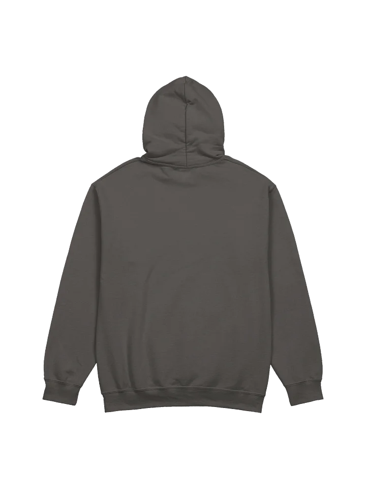 Santifa Is Watching Hoodie product image (10)