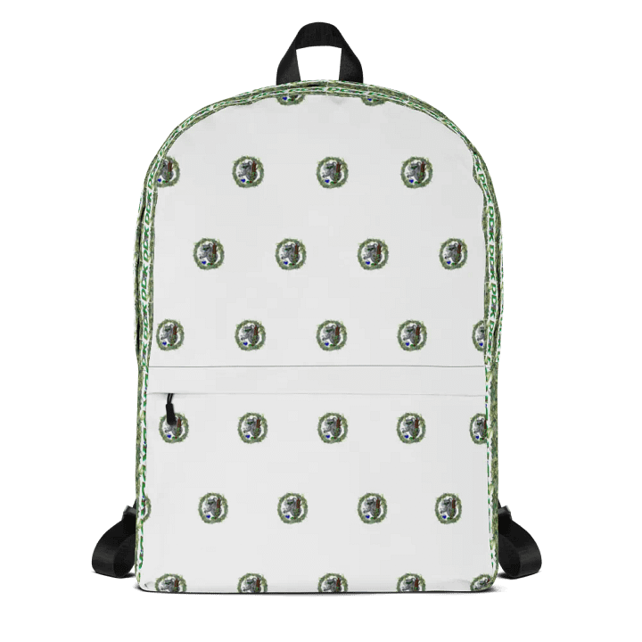 DDK Backpack product image (1)