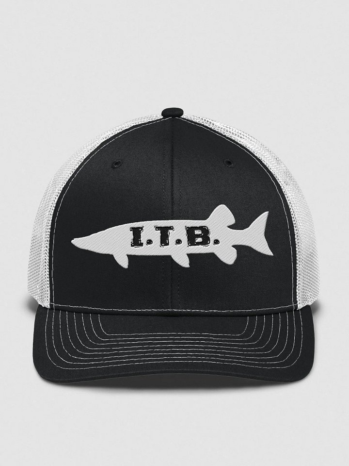 Logo Hat (Dark Colors) product image (11)