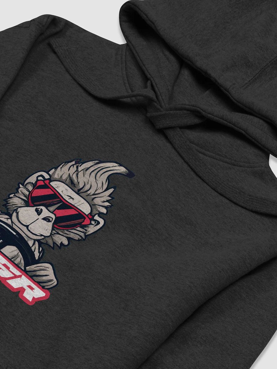 NWSR Baboon Hoodie product image (3)