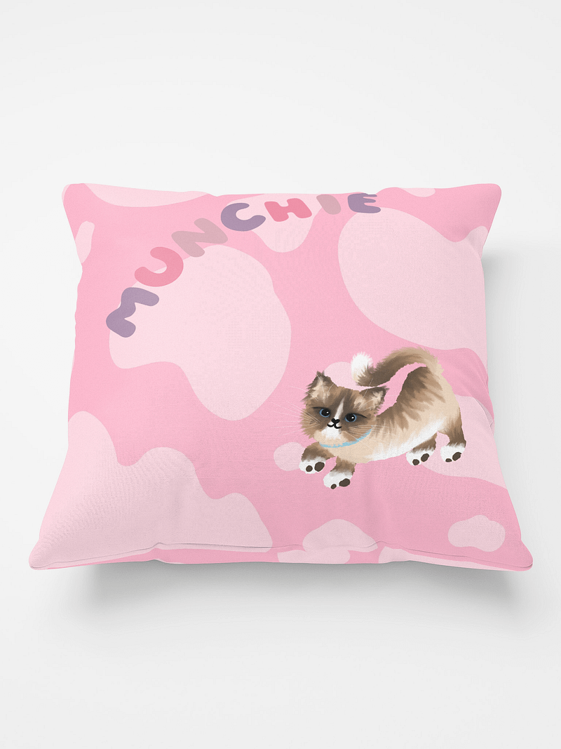 Munchie Pillow