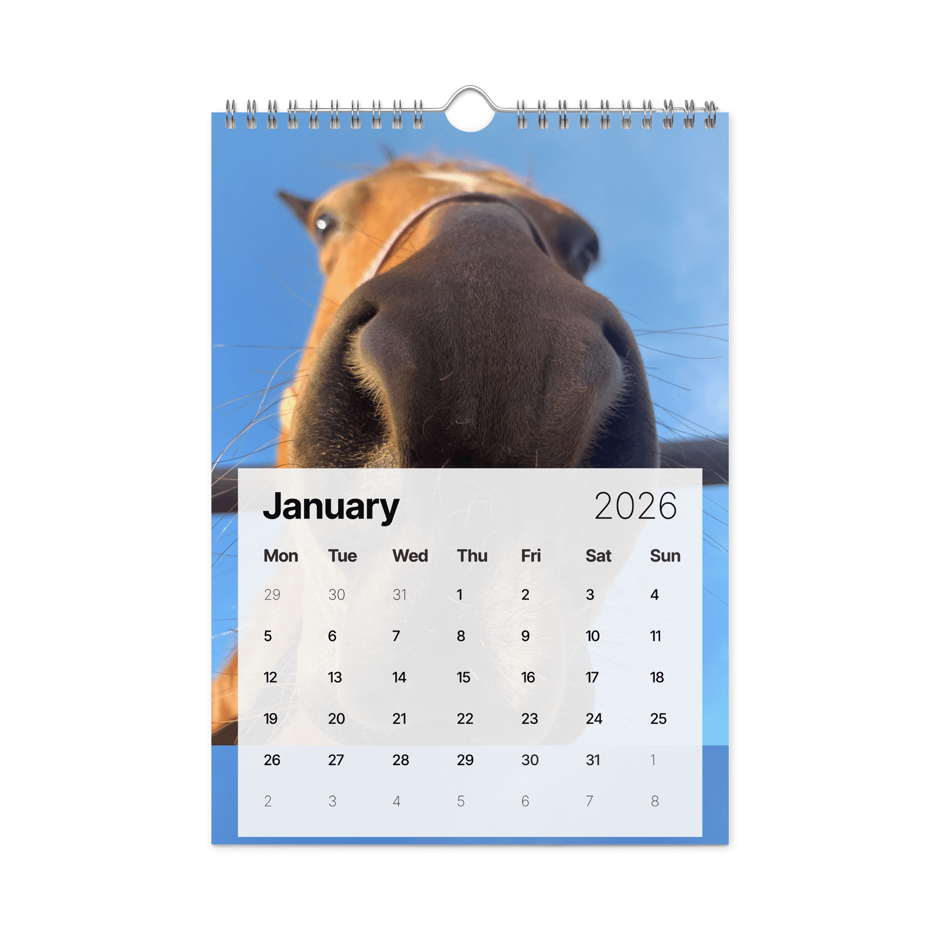 2026 Souls of Sorrels Wall Calendar product image (6)