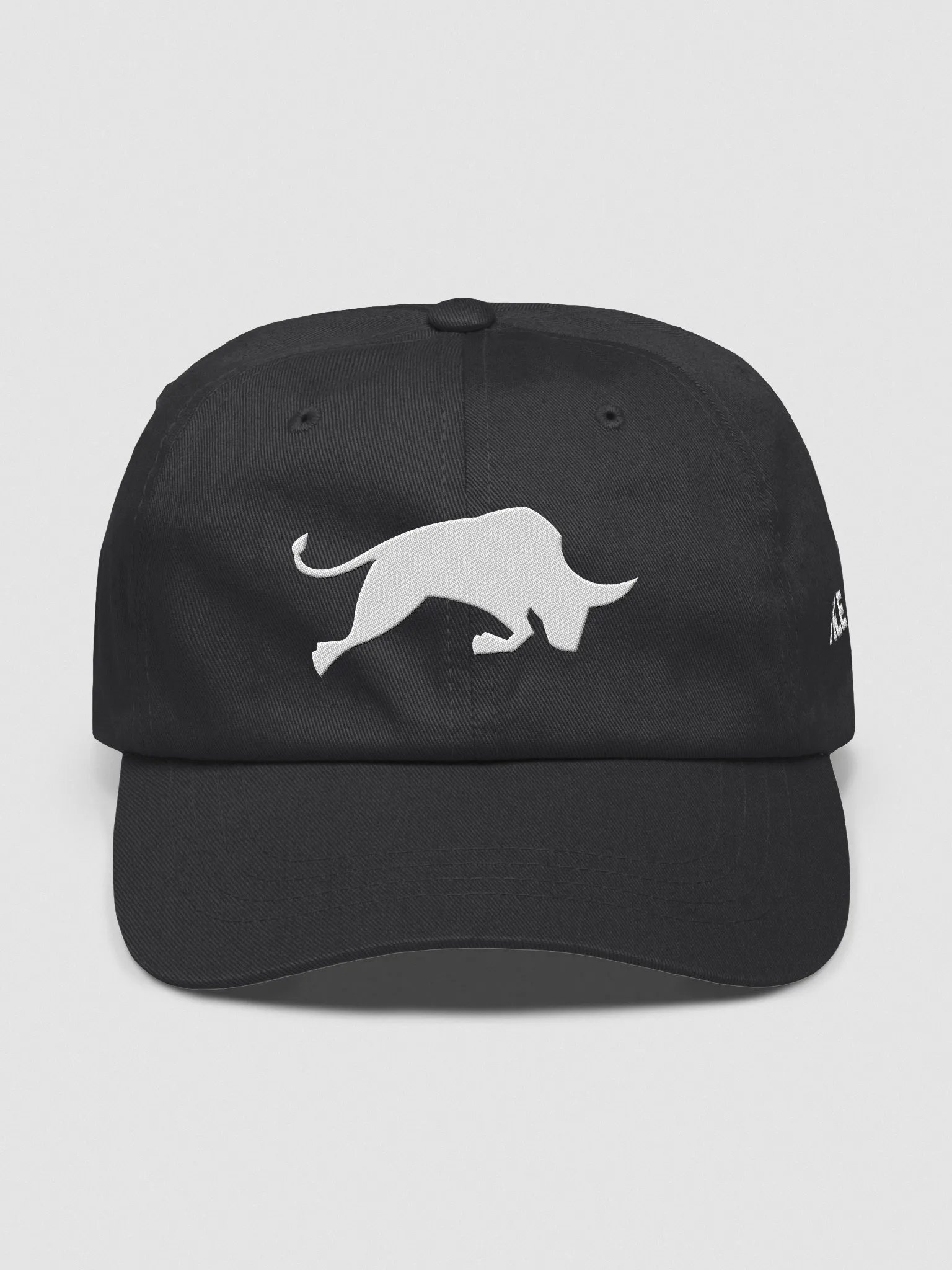 Bulls Dad Hat product image (1)