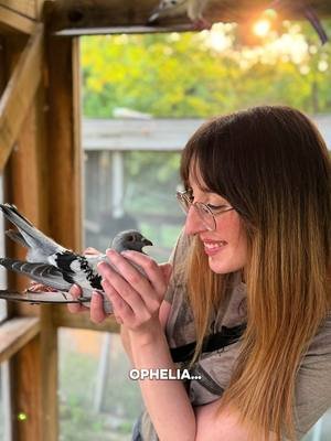 Many of you may not know, but I am originally a bench scientist. I have a PhD in Behavioral Neuroscience and Psychopharmacology.  Starting DCPR has brought a joy and meaning to my life that research never could. I am grateful everyday for the rescue community and all of the wonderful people I have met here.  #pigeon #pigeonrescue #pigeonsaspets #TSthelifeofashowgirl #rescue 