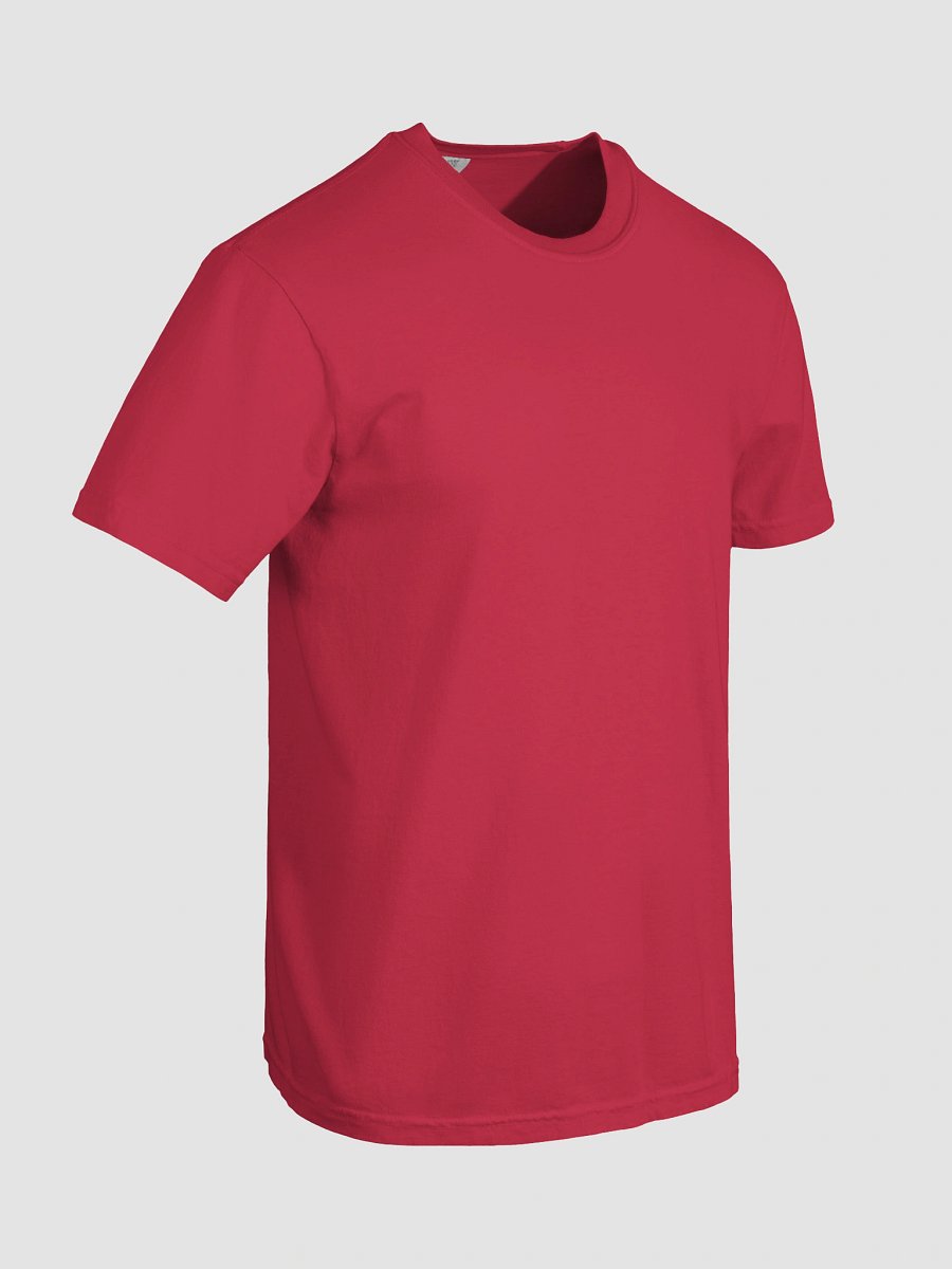 Eagle Freedom T-Shirt for Independence Day (Back) product image (15)
