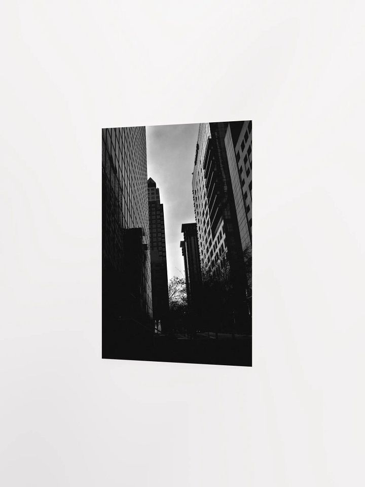 Downtown Orlando 3 product image (15)