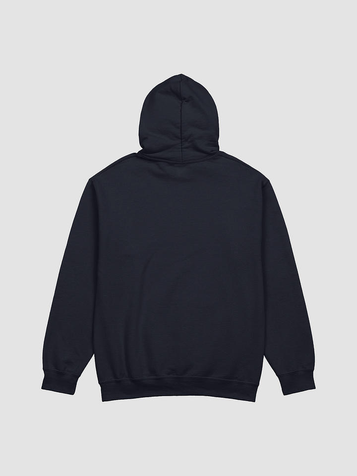 BUIII: Camp More, Worry Less Hoodie product image (14)