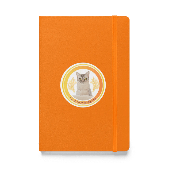 KC, At My Limit (kitty), Journal product image (1)