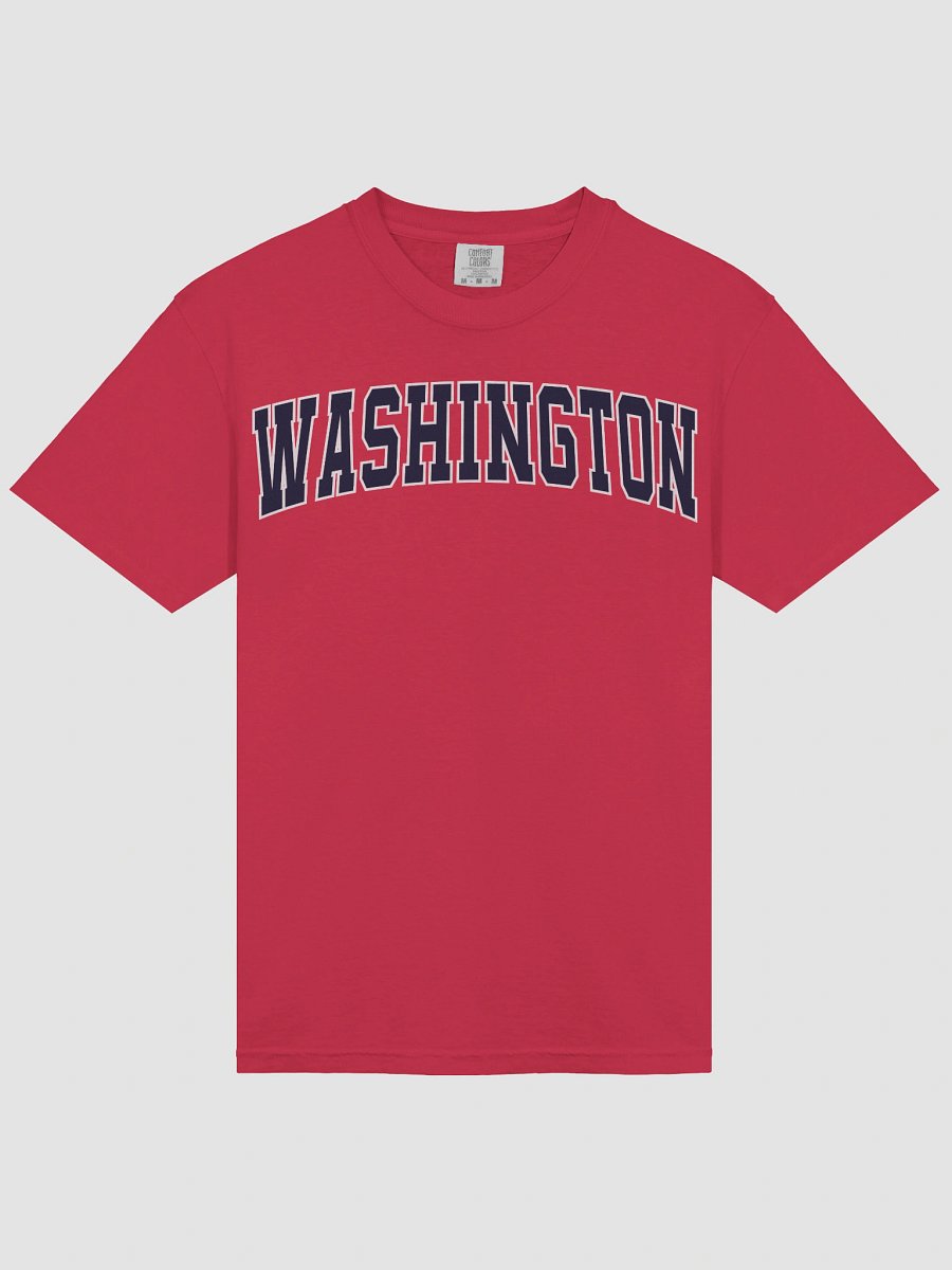 Washington Vintage Stylish Unisex Garment-Dyed T-shirt product image (4)