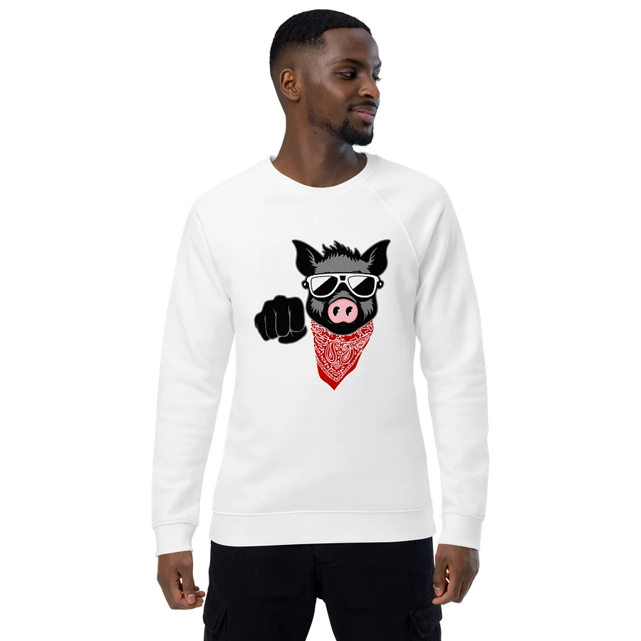 Kinky Fist Pig · organic raglan sweatshirt product image (1)