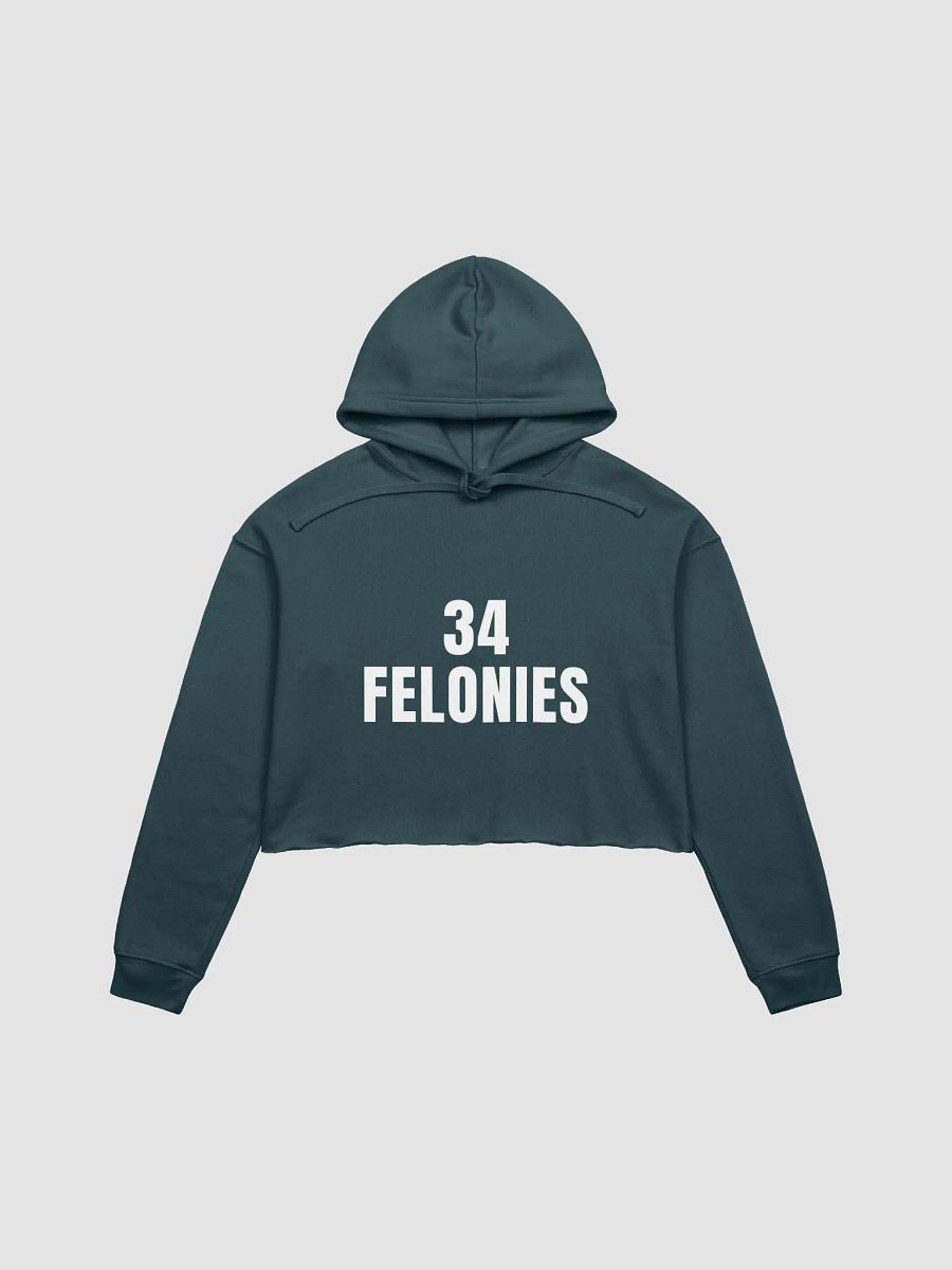 Pris-3 FELONIES-Bella+Canvas Fleece Crop Hoodie product image (4)