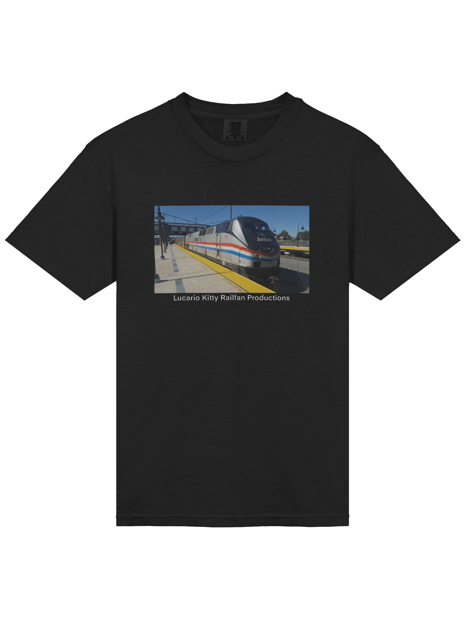 Amtrak 145 product image (20)