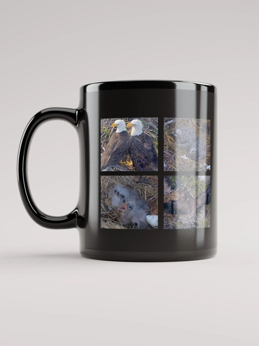 Moments | Black Mug | Captiva Eagle Cam 2024-2025 product image (6)