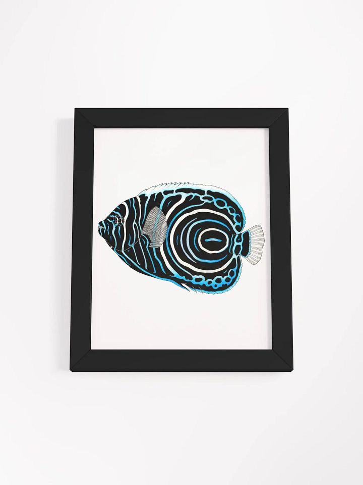 Angelfish framed print product image (1)