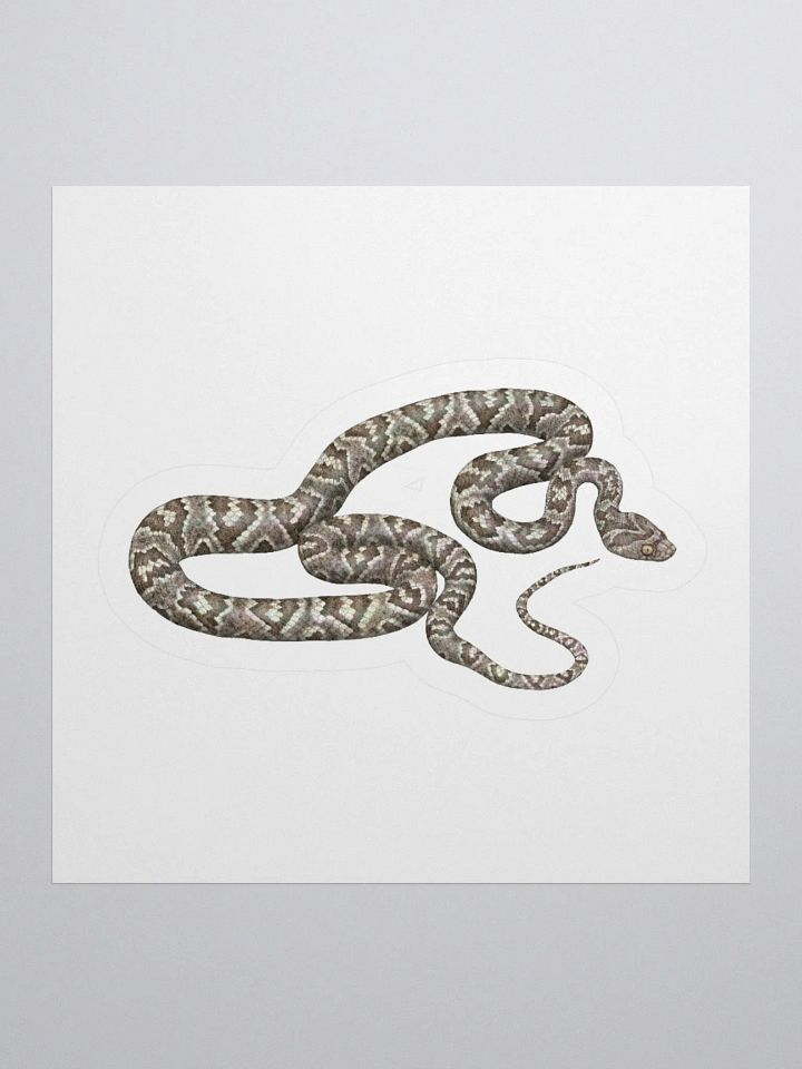 Die-Cut Sticker – Sonoran Lyresnake product image (1)
